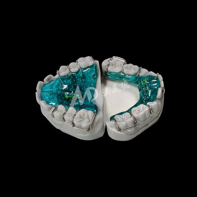 Buy Adjustable Expander Orthodontic Appliances Custom Made Removable Devices Providing and Comfortable Teeth Alignment Solutions online manufacture
