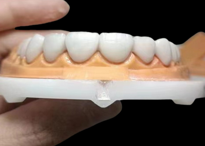 Custom Translucent Zirconia Dental Crown With High Durability Stain Resistant from China dental lab