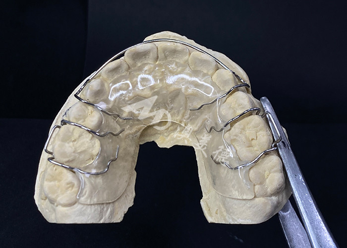 Comfortable To Wear AMD Dental Lab's Hawley Retainer For Safe And Healthy Orthodontics