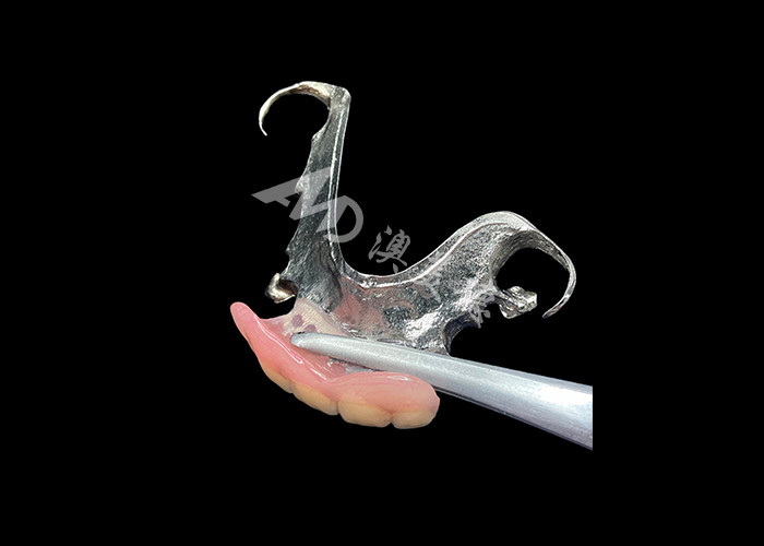 Long Lasting Cast Partial Dentures Easy Maintenance for Improved Chewing and Perfect Smile