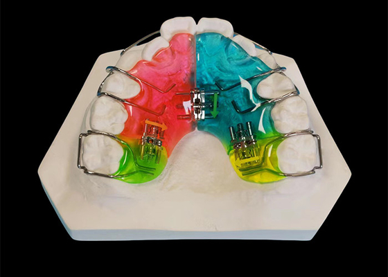 Good price Clinically Proven Dental Removable Appliance , Comfortable Fit Orthodontic Retainer online
