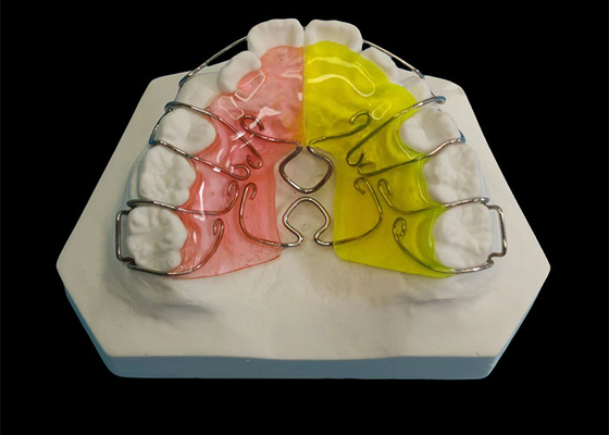 Good price Custom Made Orthodontic Removable Appliances , Adjustable Expander Orthodontics online